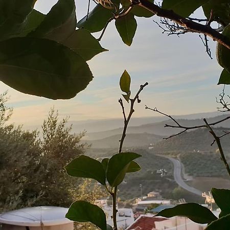 Mirador Del Olivar Olvera Eksteriør bilde