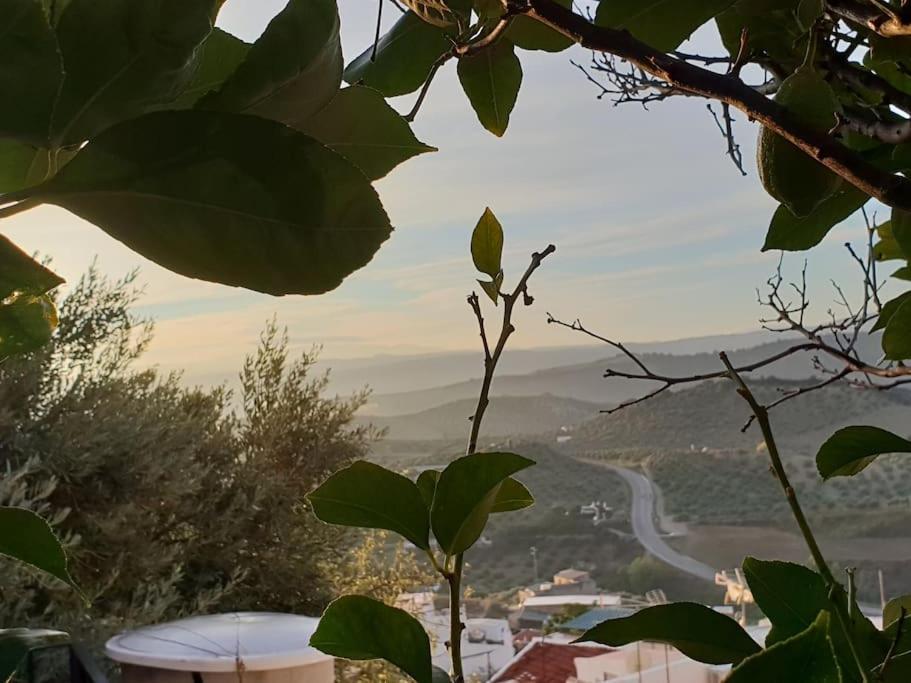 Mirador Del Olivar Olvera Eksteriør bilde