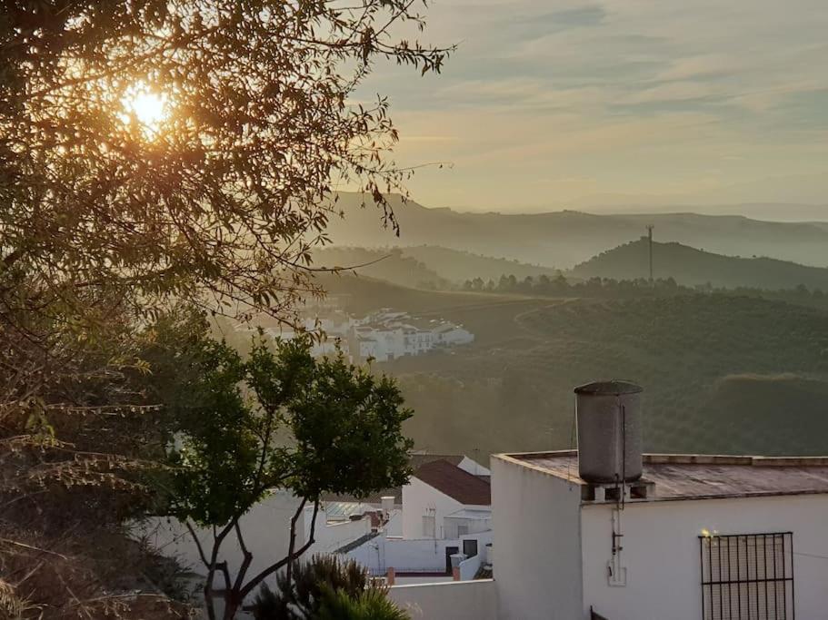 Mirador Del Olivar Olvera Eksteriør bilde